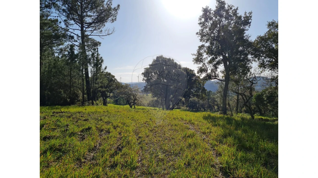 Terreno para Venda em Lousa Foto 4