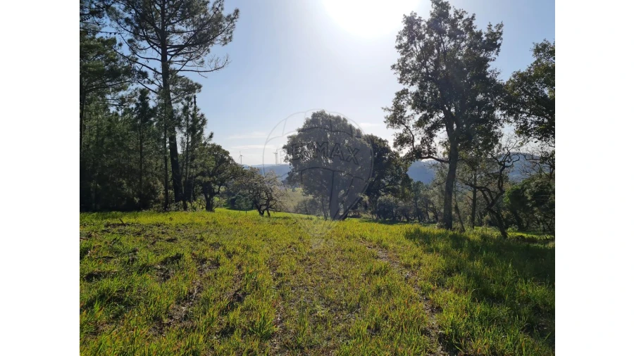 Terreno para Venda em Lousa Foto 4