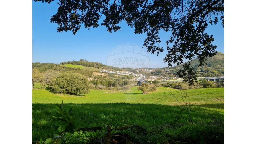Terreno para Venda em Lousa Foto 5