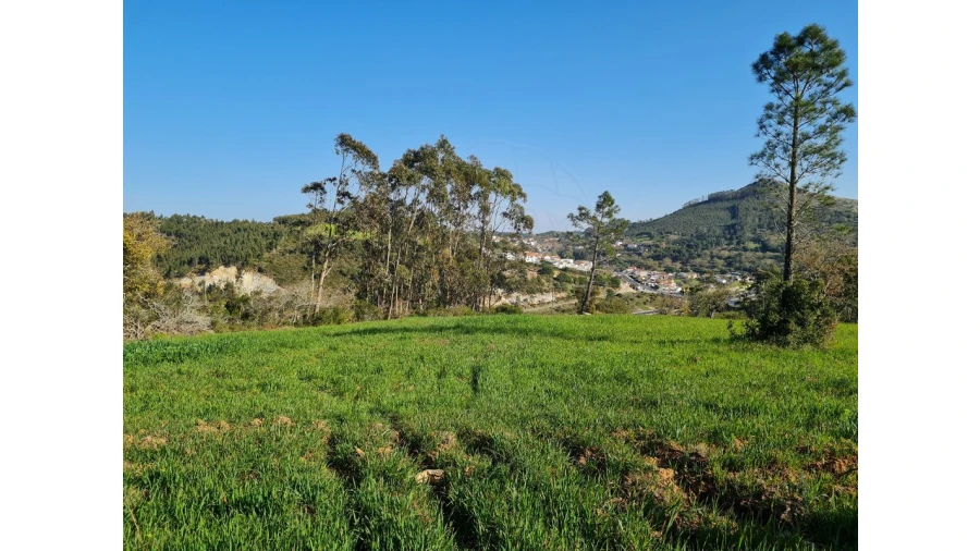 Terreno para Venda em Lousa