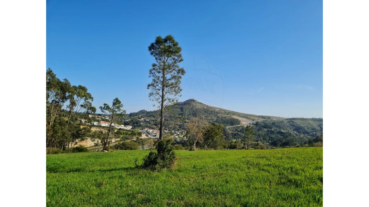 Terreno para Venda em Lousa Foto 2