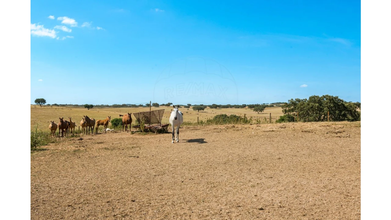 Moradia T4 para Venda em Bacelo e Senhora da Saúde Foto 25