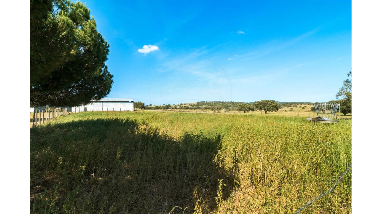 Moradia T4 para Venda em Bacelo e Senhora da Saúde Foto 22