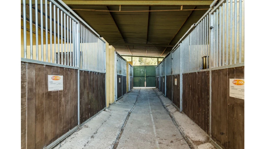 Moradia T4 para Venda em Bacelo e Senhora da Saúde Foto 20