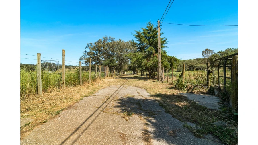 Moradia T4 para Venda em Bacelo e Senhora da Saúde Foto 24