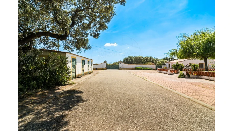 Moradia T4 para Venda em Bacelo e Senhora da Saúde Foto 9