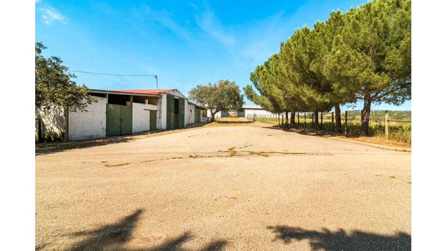 Moradia T4 para Venda em Bacelo e Senhora da Saúde Foto 16