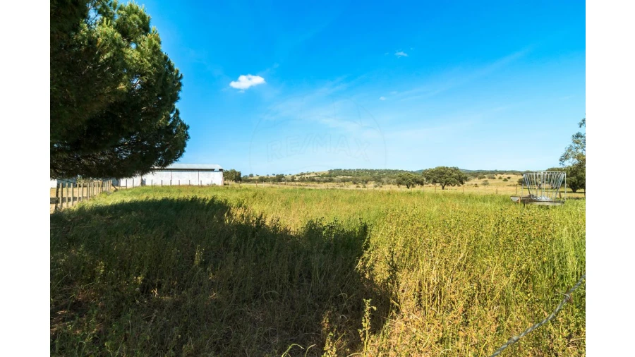 Moradia T4 para Venda em Bacelo e Senhora da Saúde Foto 22