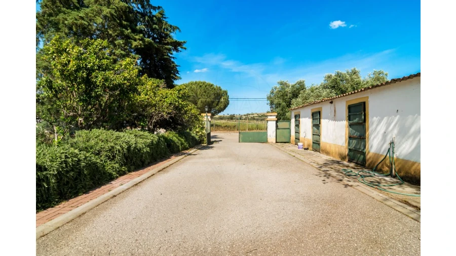 Moradia T4 para Venda em Bacelo e Senhora da Saúde Foto 14