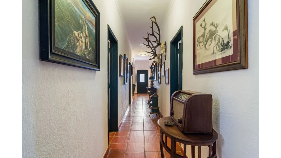 Moradia T4 para Venda em Bacelo e Senhora da Saúde Foto 28