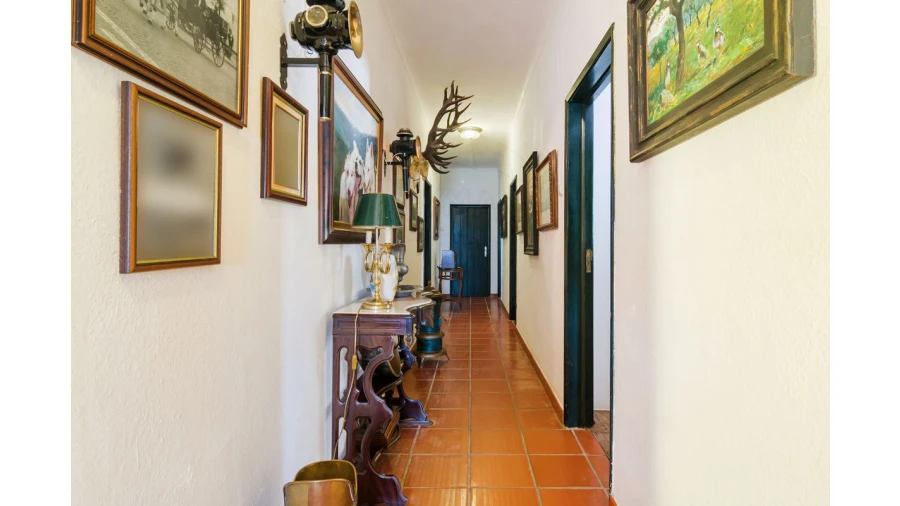 Moradia T4 para Venda em Bacelo e Senhora da Saúde Foto 27