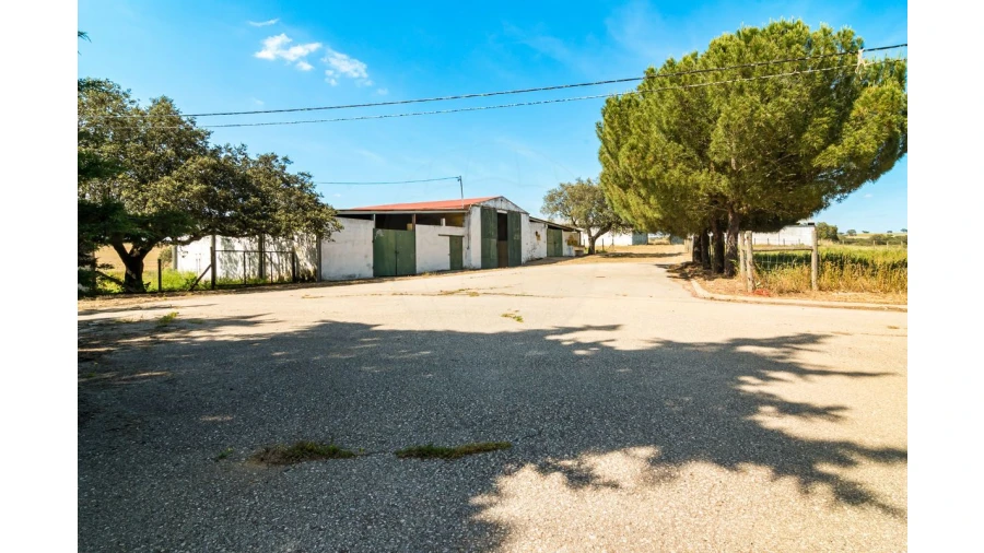 Moradia T4 para Venda em Bacelo e Senhora da Saúde Foto 15