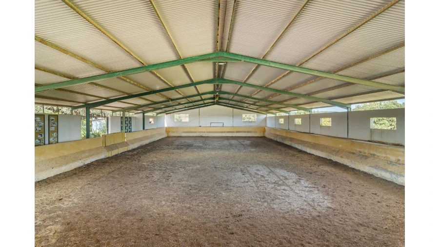 Moradia T4 para Venda em Bacelo e Senhora da Saúde Foto 13