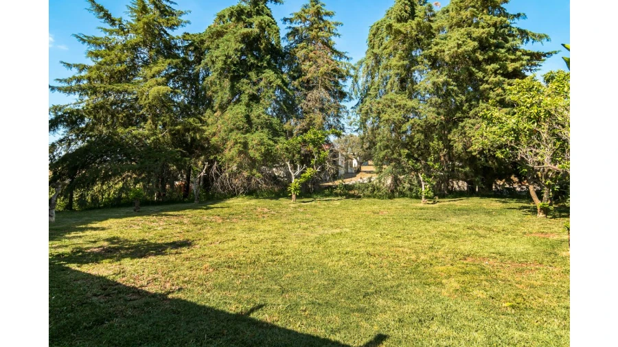 Moradia T4 para Venda em Bacelo e Senhora da Saúde Foto 23