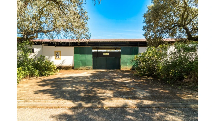 Moradia T4 para Venda em Bacelo e Senhora da Saúde Foto 11