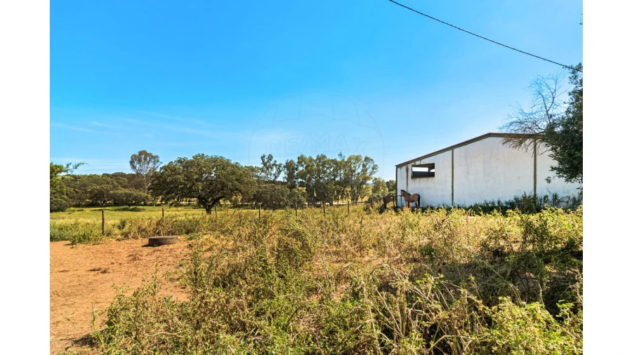Moradia T4 para Venda em Bacelo e Senhora da Saúde Foto 21