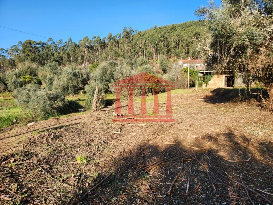 Moradia para Venda em Fragoso Foto 19