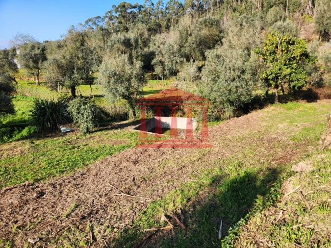 Moradia para Venda em Fragoso Foto 18