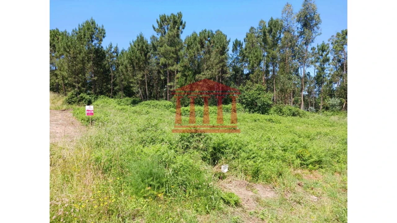 Terreno para Venda em Pousa Foto 3