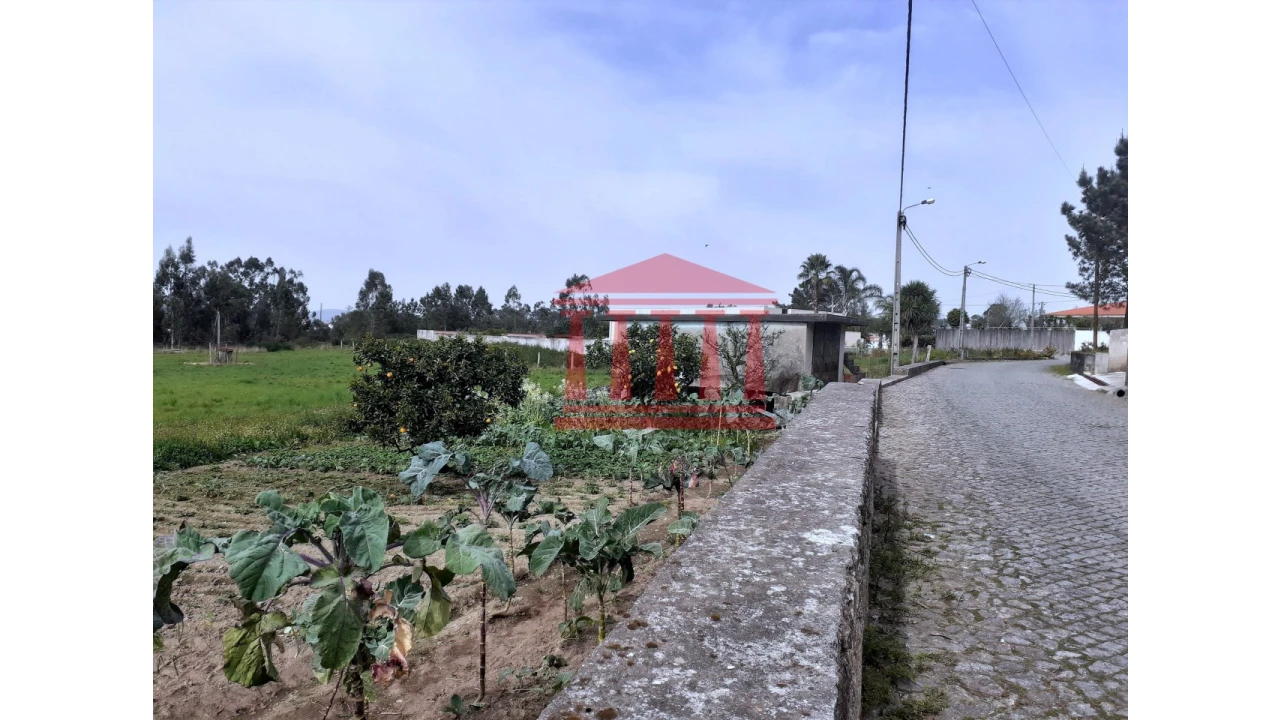 Terreno para Venda em Carvalhal Foto 11