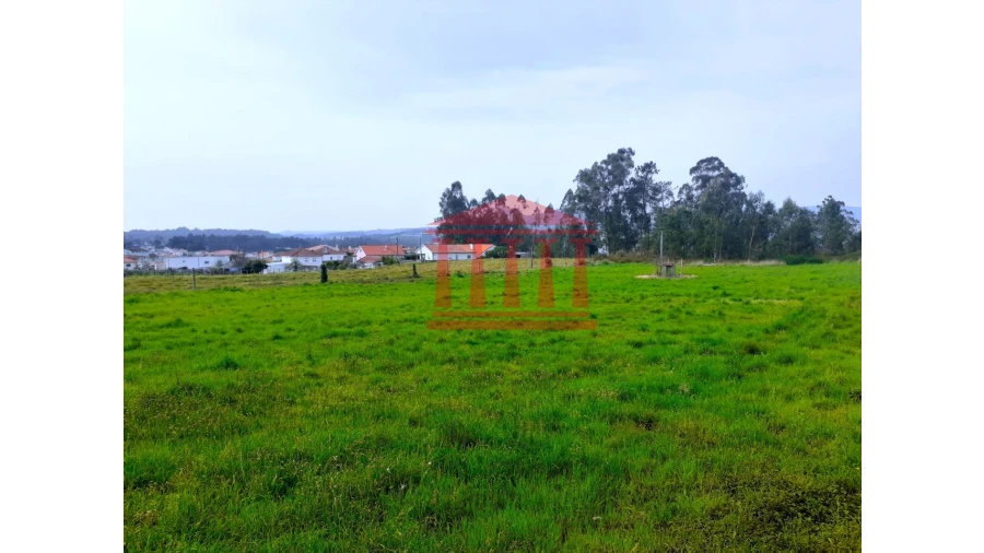 Terreno para Venda em Carvalhal Foto 3