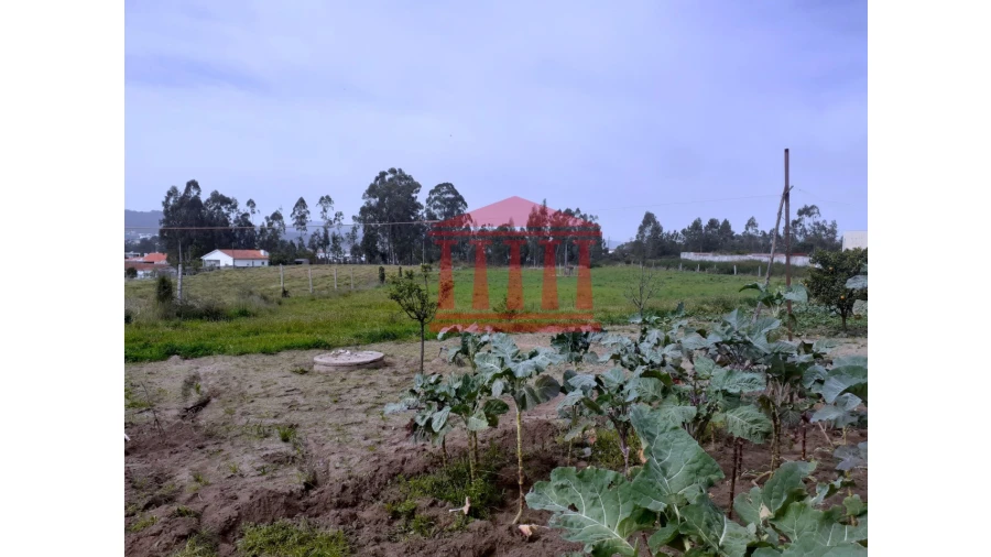 Terreno para Venda em Carvalhal Foto 8