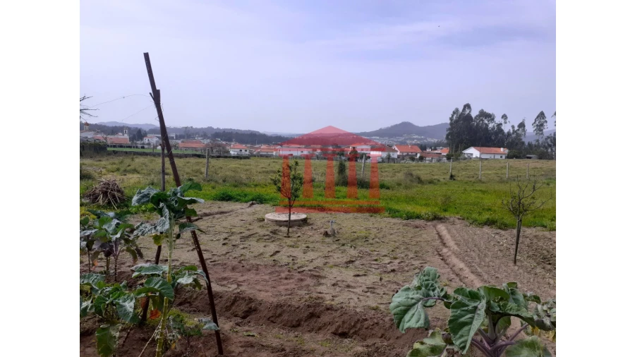 Terreno para Venda em Carvalhal Foto 9
