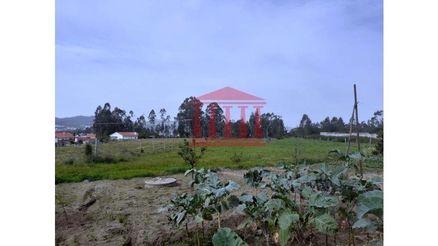 Terreno para Venda em Carvalhal Foto 12