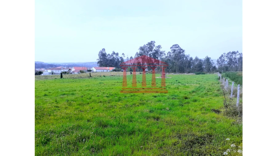Terreno para Venda em Carvalhal Foto 16