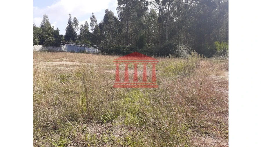 Terreno para Venda em Viatodos, Grimancelos, Minhotães, Monte Fralães Foto 4