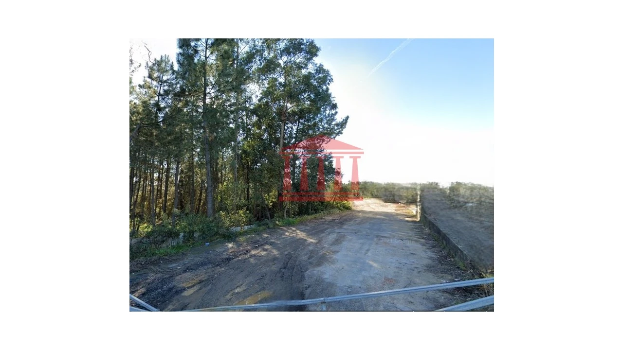 Terreno para Venda em Ucha Foto 3