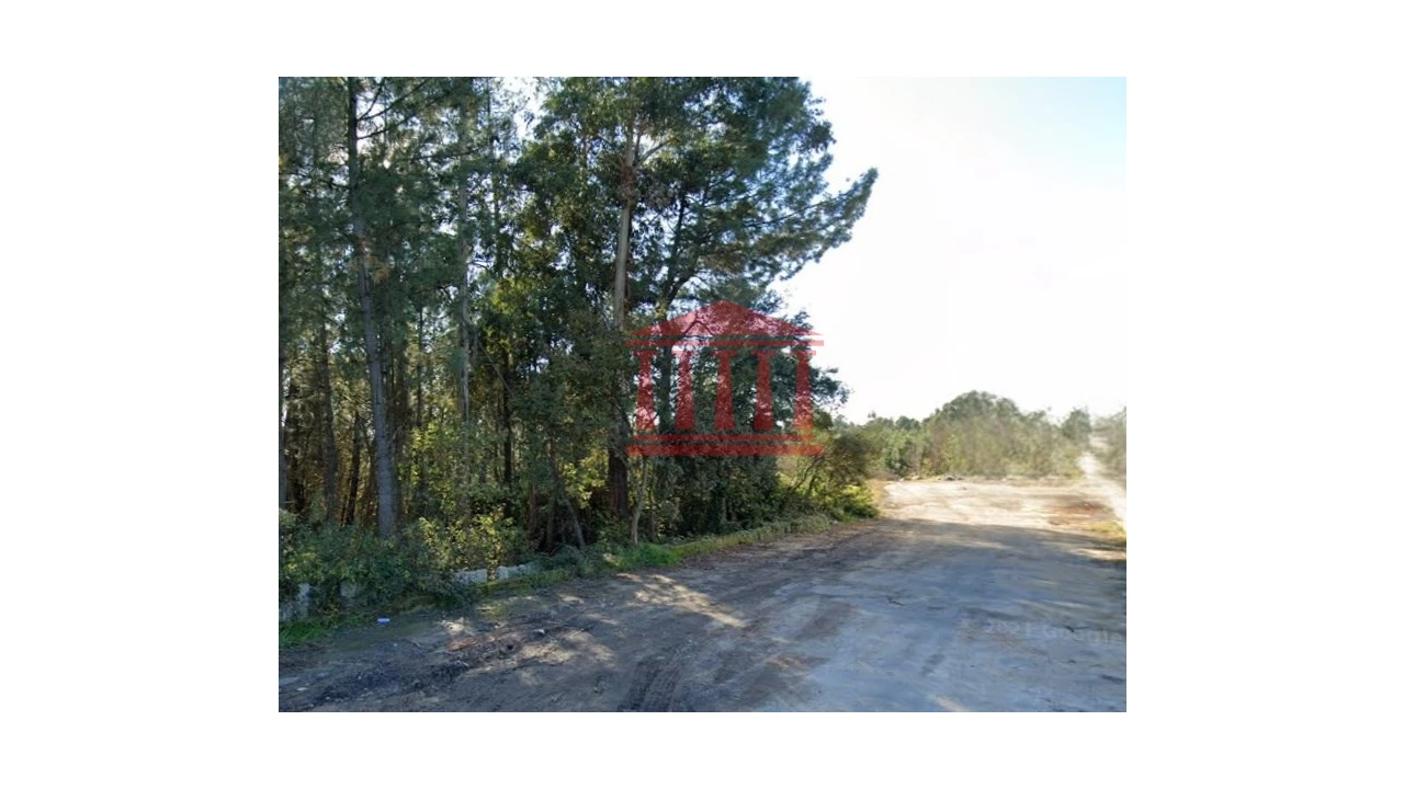 Terreno para Venda em Ucha Foto 4