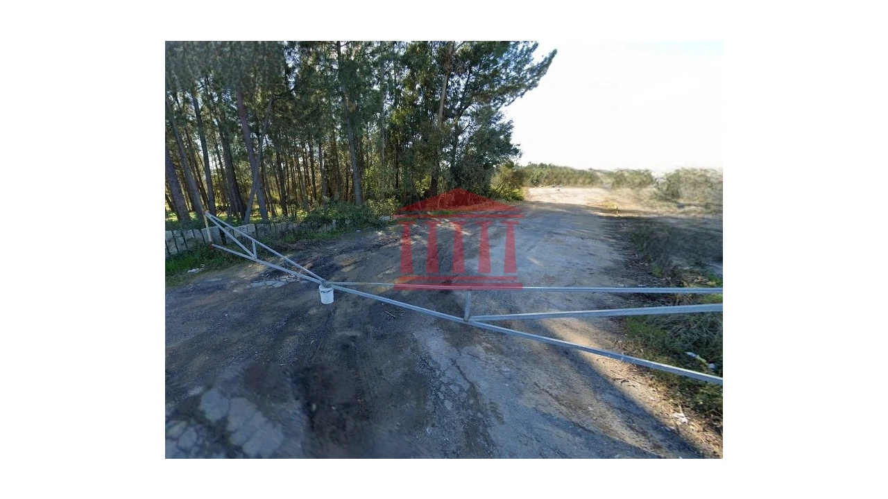 Terreno para Venda em Ucha Foto 5