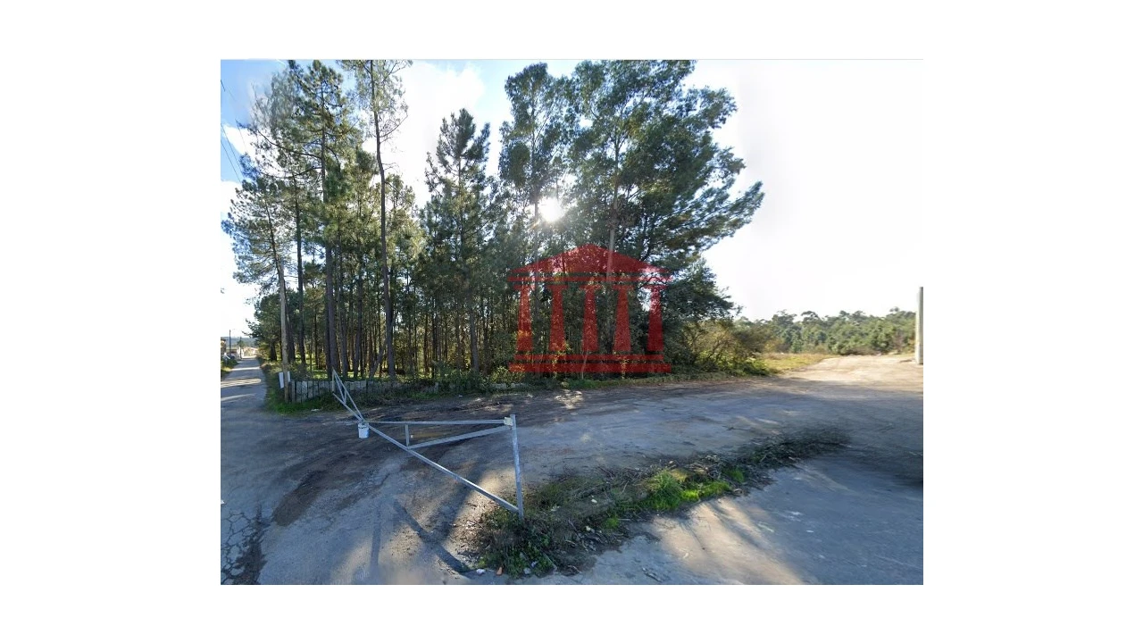 Terreno para Venda em Ucha Foto 6