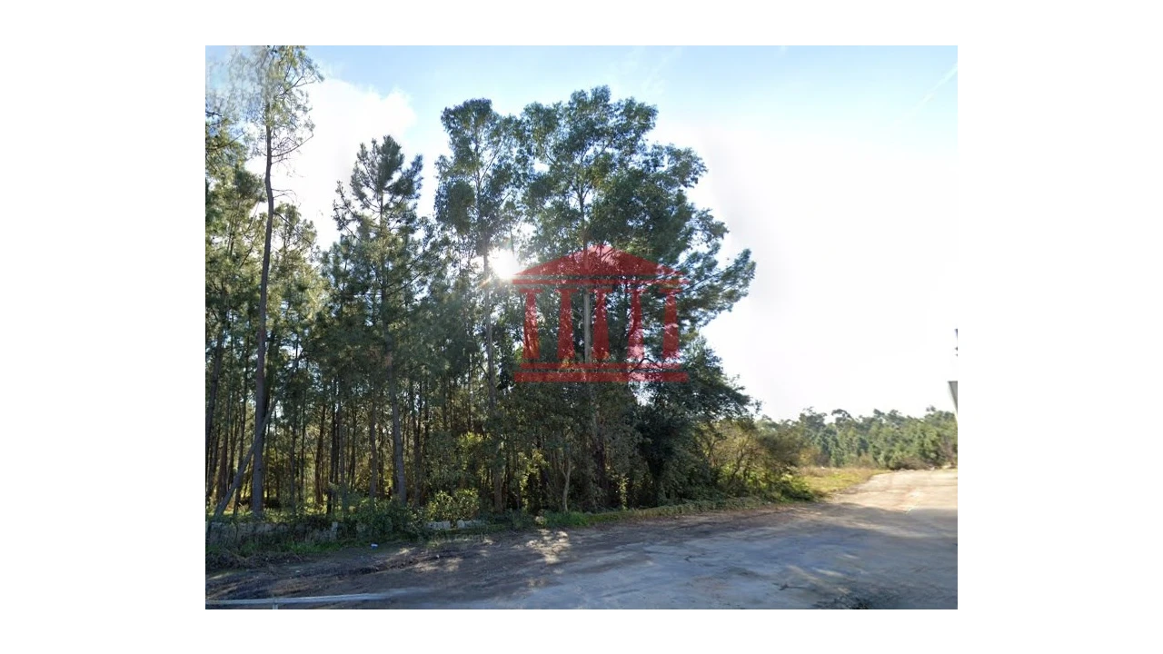 Terreno para Venda em Ucha Foto 2