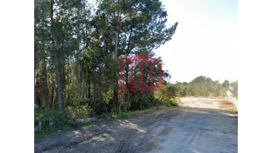 Terreno para Venda em Ucha Foto 4