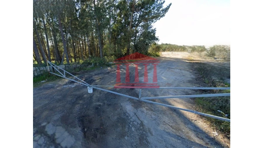 Terreno para Venda em Ucha Foto 5