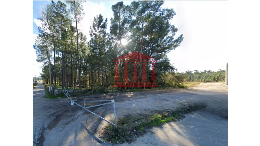 Terreno para Venda em Ucha Foto 6