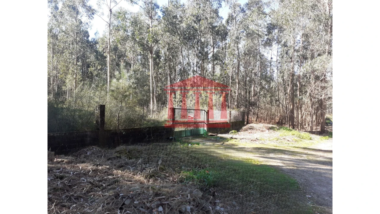 Terreno para Venda em Vila Chã Foto 1