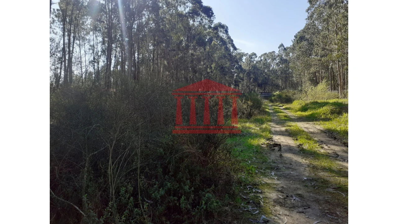 Terreno para Venda em Vila Chã Foto 5