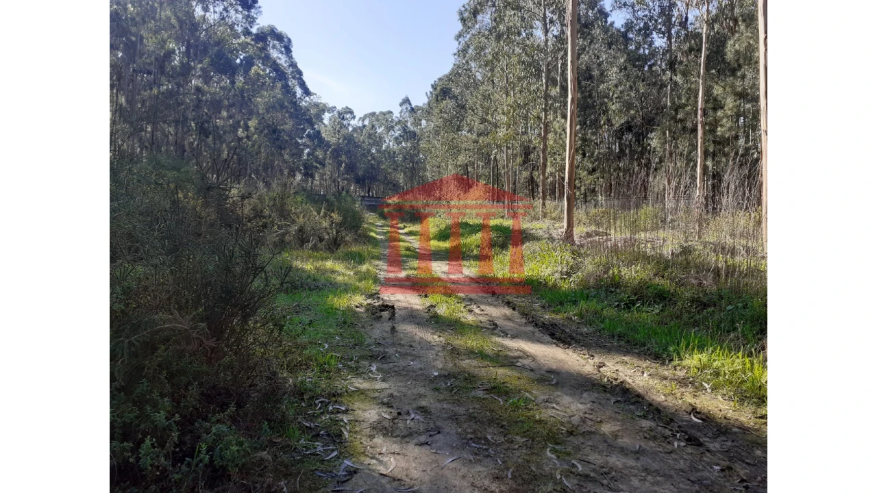 Terreno para Venda em Vila Chã Foto 6