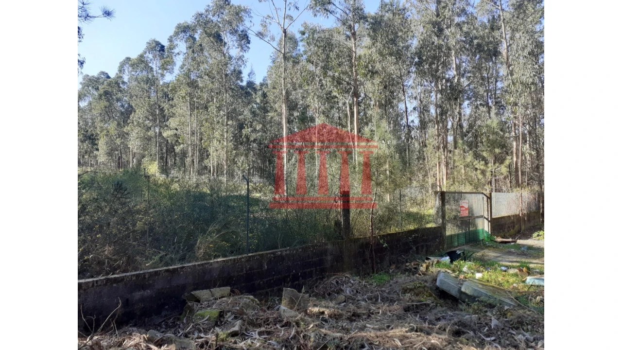 Terreno para Venda em Vila Chã Foto 8