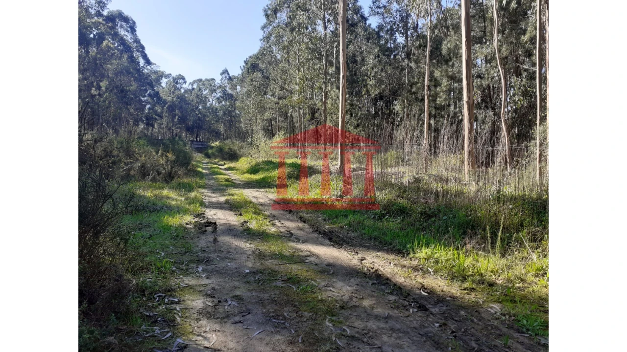 Terreno para Venda em Vila Chã Foto 9