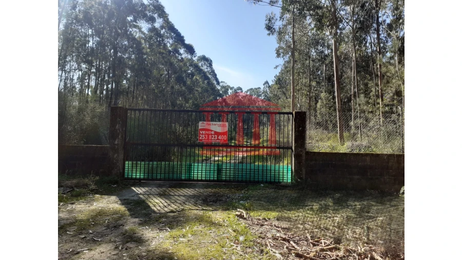Terreno para Venda em Vila Chã Foto 4
