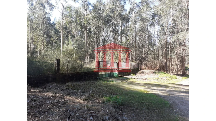 Terreno para Venda em Vila Chã