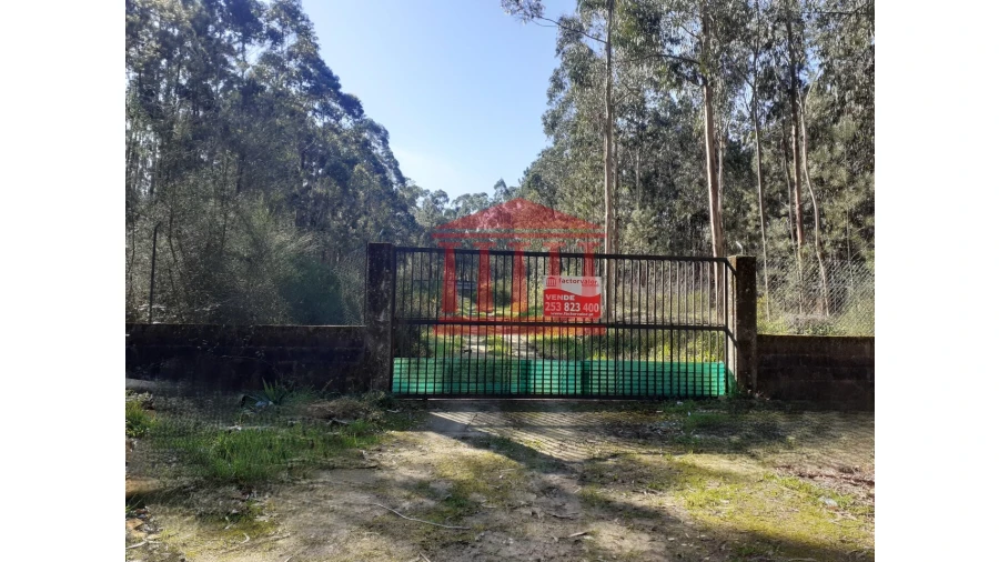 Terreno para Venda em Vila Chã Foto 2