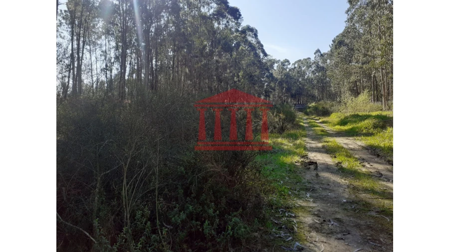 Terreno para Venda em Vila Chã Foto 5