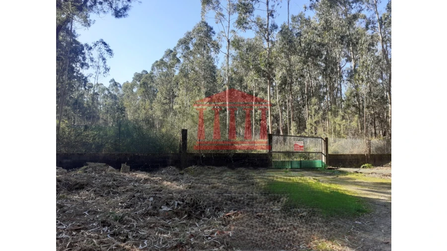 Terreno para Venda em Vila Chã Foto 7