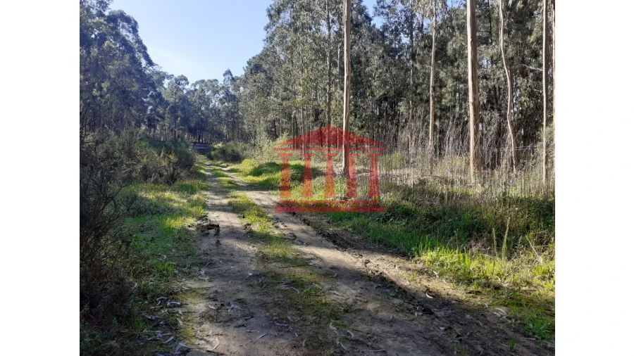 Terreno para Venda em Vila Chã Foto 9