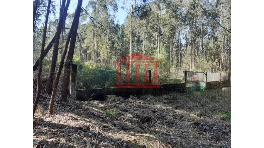 Terreno para Venda em Vila Chã Foto 10